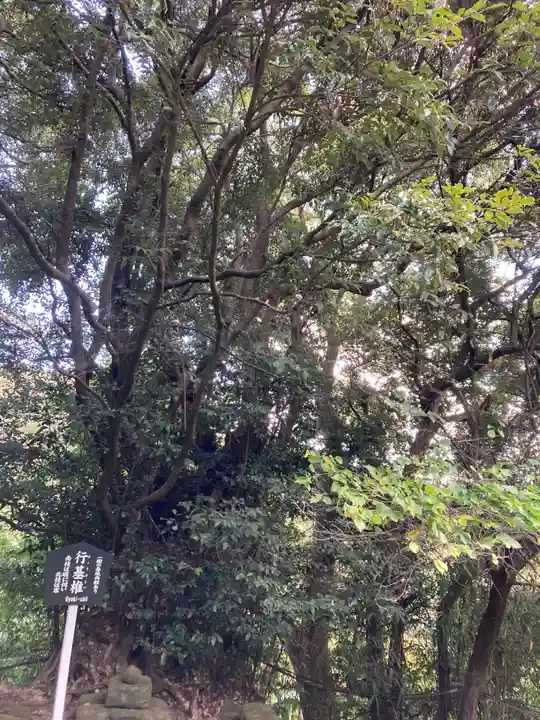 日本寺(千葉県)