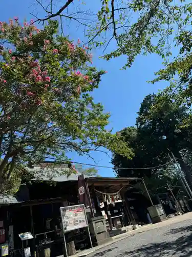 賀茂別雷神社(栃木県)