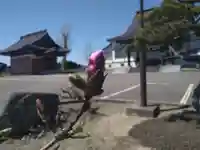 雨竜 専福寺(北海道)