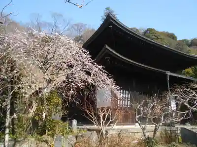 瑞泉寺のその他建物