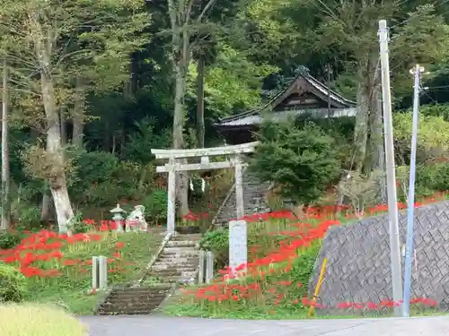 八幡神社の鳥居