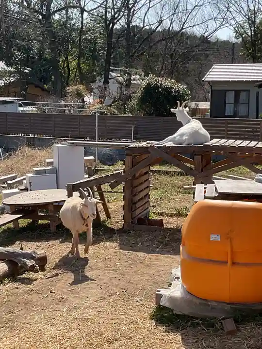 永保寺(岐阜県)