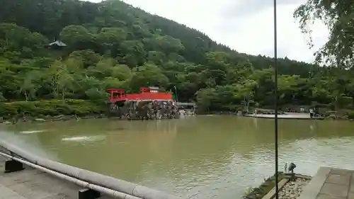 勝尾寺の庭園