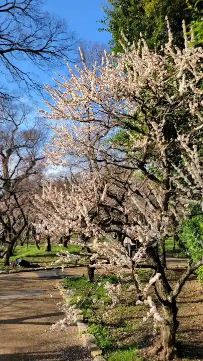 北野天満宮の{uncategorized: "未分類", other: "その他", undefined: "問題あり", building: "その他建物", grave: "お墓", sacred_gate: "鳥居", guardian: "狛犬", statue: "像", buddha: "仏像", history: "歴史", nature: "自然", garden: "庭園", animal: "動物", pagoda: "塔", temizu: "手水舎", mountain_gate: "山門・神門", sanctuary: "本殿・本堂", subordinate: "末社・摂社", art: "芸術", scenery: "景色", jizo: "地蔵", ema: "絵馬", goshuin: "御朱印", omikuji: "おみくじ", items: "授与品その他", amulet: "お守り", goshuincho: "御朱印帳", eats: "食事", festival: "お祭り", votive_dance: "神楽", shichigosan: "七五三参", wedding: "結婚式", experience: "体験その他", initially: "初詣", around: "周辺", anti_infection: "感染症対策"}