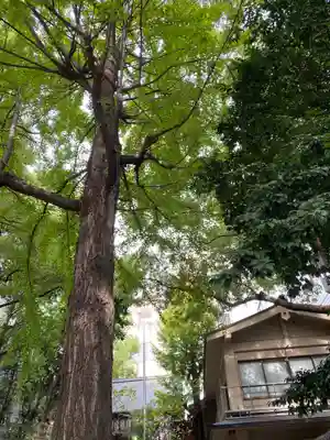 朝日神社のその他建物