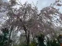 原谷弁財天(京都府)