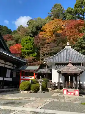 柳谷観音　楊谷寺(京都府)