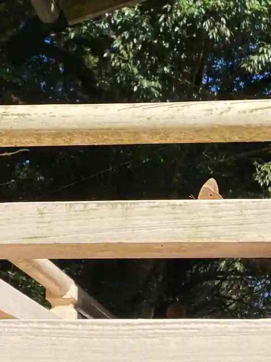 石上布都魂神社(岡山県)