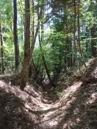河口浅間神社の自然