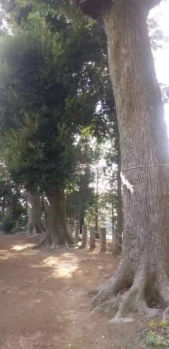 鶴峯八幡宮の自然
