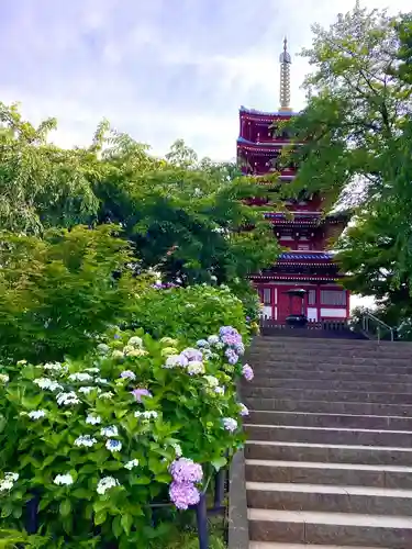 本土寺(千葉県)