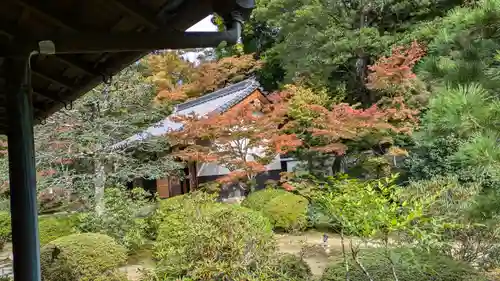 隨心院（随心院）(京都府)
