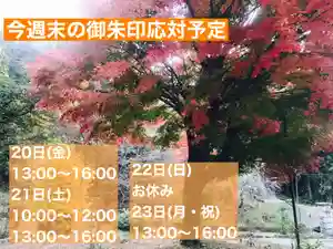 金龍寺(山梨県)(2020年11月20日(金) 07時15分56秒投稿)