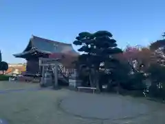 白幡八幡大神の建物その他