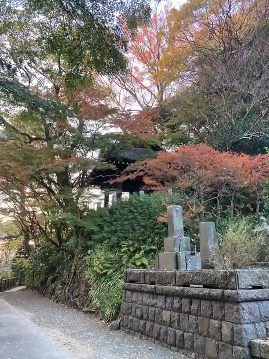 妙本寺(神奈川県)