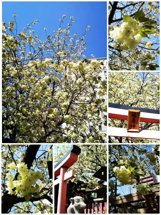 柳森神社(東京都)