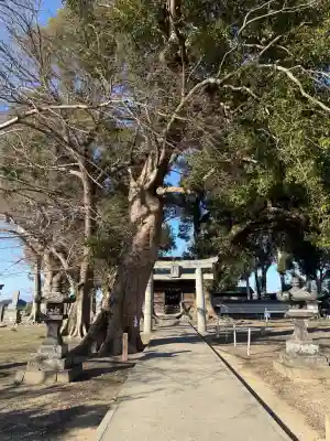 溝口竃門神社(福岡県)