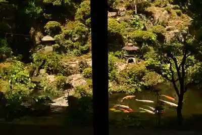 東福寺(徳島県)