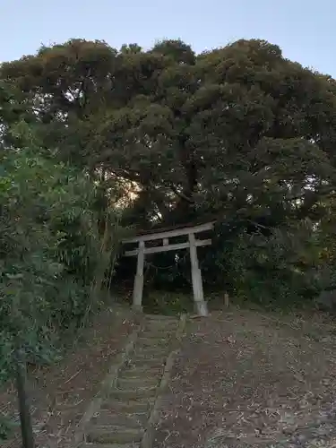 早尾神社の鳥居