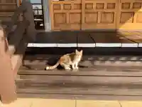 松林寺(千葉県)