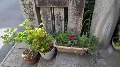 出雲大社長崎分院の庭園