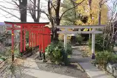 若宮八幡宮 の鳥居