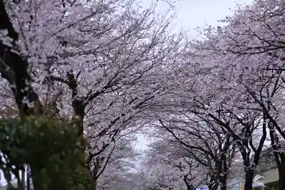 白笹稲荷神社(神奈川県)