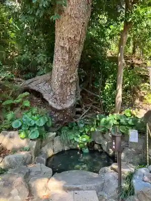 師岡熊野神社(神奈川県)