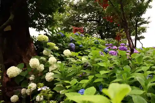 白山神社(東京都)