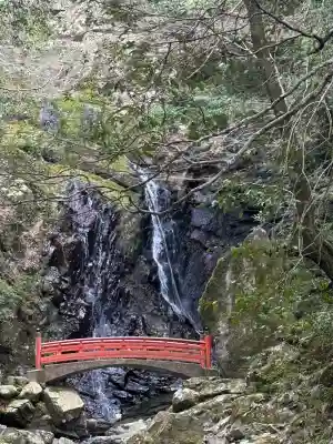 大本山七宝瀧寺の{uncategorized: "未分類", other: "その他", undefined: "問題あり", building: "その他建物", grave: "お墓", sacred_gate: "鳥居", guardian: "狛犬", statue: "像", buddha: "仏像", history: "歴史", nature: "自然", garden: "庭園", animal: "動物", pagoda: "塔", temizu: "手水舎", mountain_gate: "山門・神門", sanctuary: "本殿・本堂", subordinate: "末社・摂社", art: "芸術", scenery: "景色", jizo: "地蔵", ema: "絵馬", goshuin: "御朱印", omikuji: "おみくじ", items: "授与品その他", amulet: "お守り", goshuincho: "御朱印帳", eats: "食事", festival: "お祭り", votive_dance: "神楽", shichigosan: "七五三参", wedding: "結婚式", experience: "体験その他", initially: "初詣", around: "周辺", anti_infection: "感染症対策"}