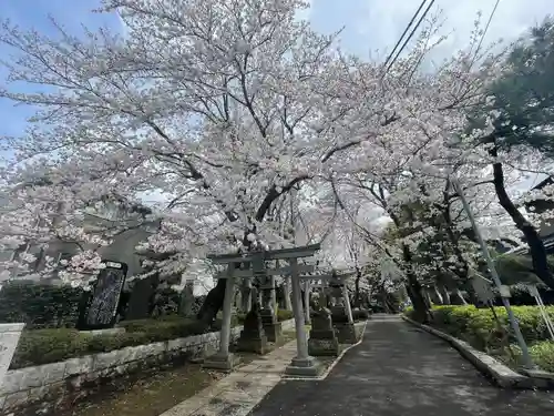 前原御嶽神社の自然