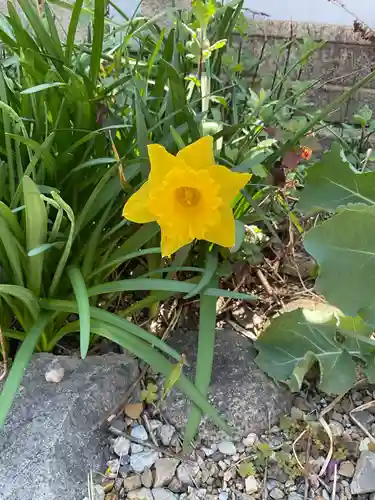 三輪神社(愛知県)