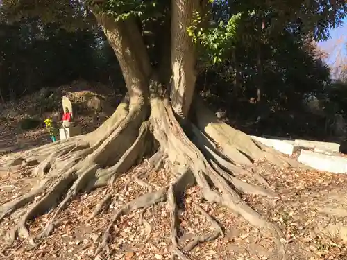 縁華山 有縁寺(三重県)