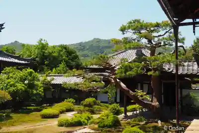 鹿王院(京都府)