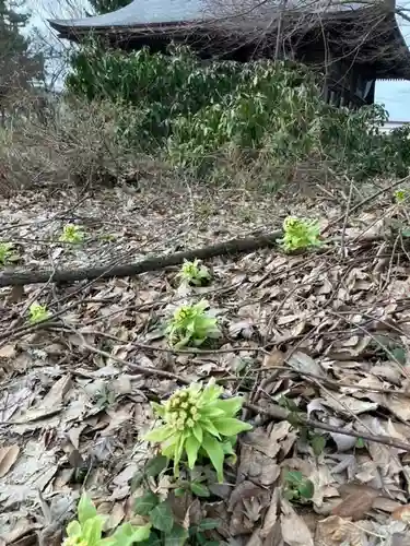 秋田諏訪宮(秋田県)
