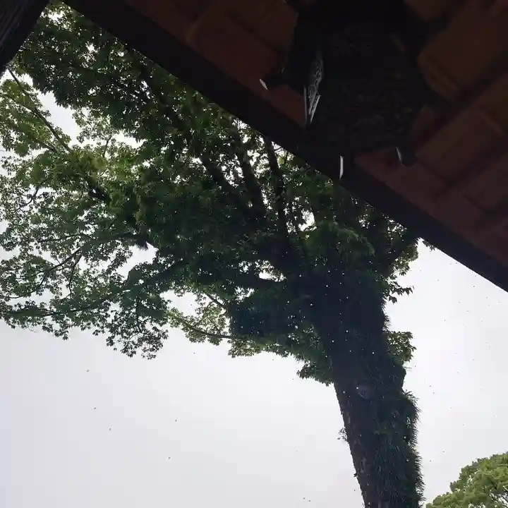 尾張大國霊神社(国府宮)のその他建物