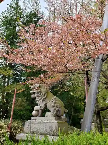 神炊館神社 ⁂奥州須賀川総鎮守⁂の狛犬