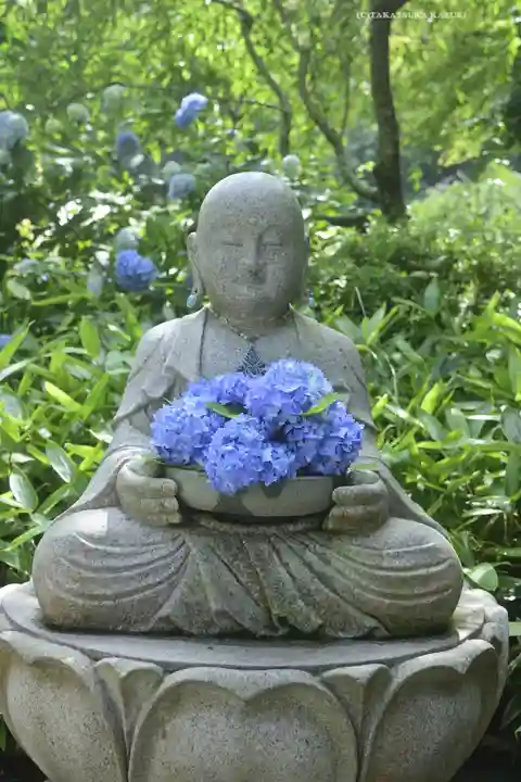 明月院(神奈川県)