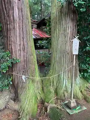 向田神社(栃木県)