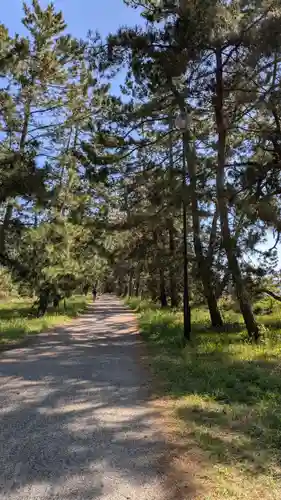 天橋立神社(京都府)