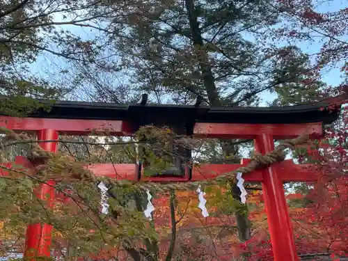 鍬山神社の鳥居