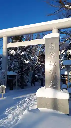 新琴似神社の鳥居