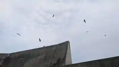 厳島神社の動物
