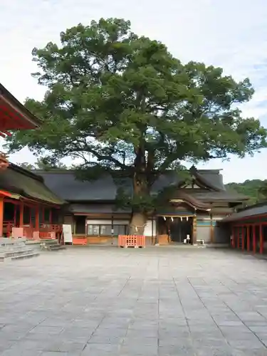 宇佐神宮の自然