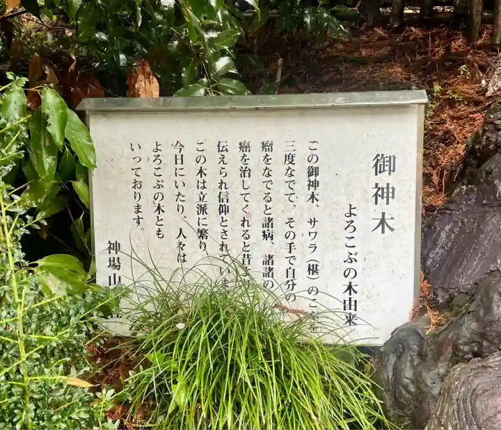 神場山神社(静岡県)