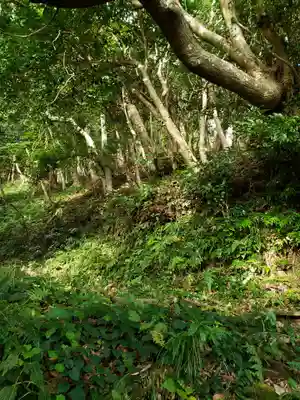 天津神明宮の周辺