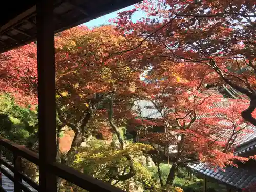 柳谷観音　楊谷寺の自然