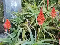 白濱神社(鹿児島県)