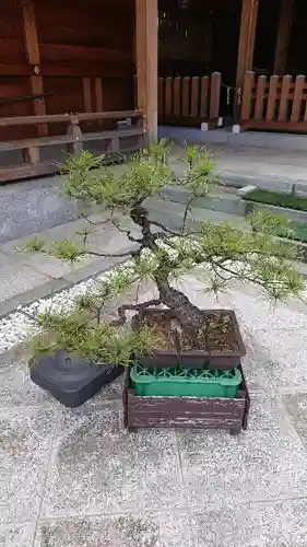 亀ケ池八幡宮の庭園