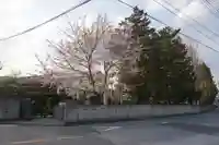 上青木氷川神社の周辺